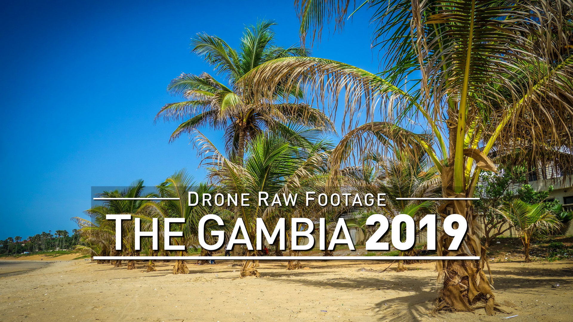 One Man Wolf Pack – 【4K】Drone RAW Footage | THE GAMBIA 2019